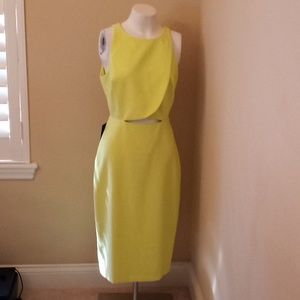 NWT Bebe A-line Dress Size 8